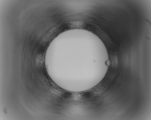 X0000103420701200809261707