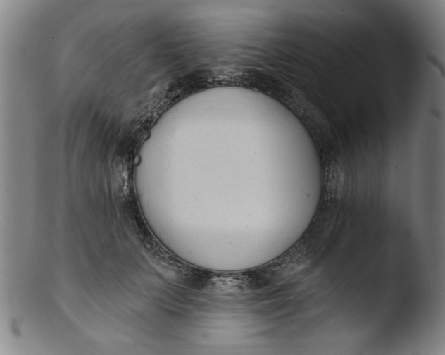 X0000103420703200809261707