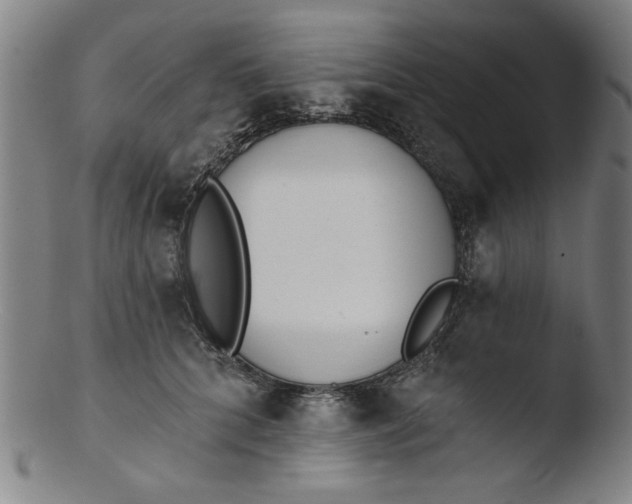X0000103420704200809261707
