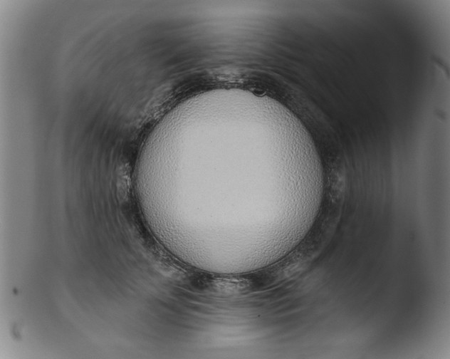 X0000103420707200809261707