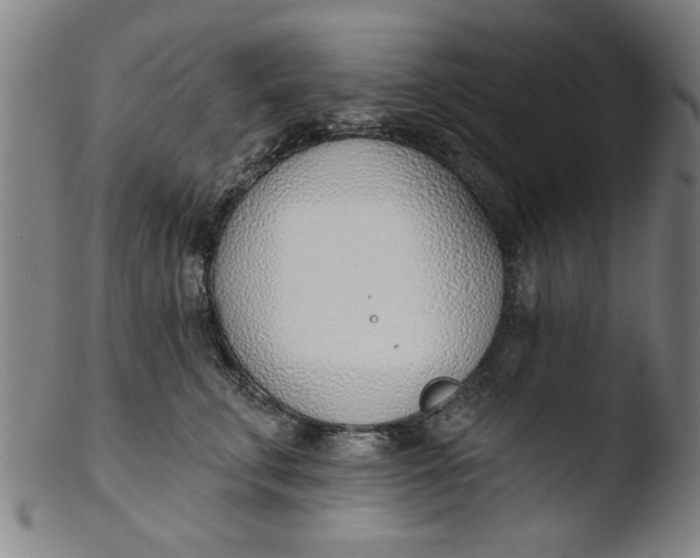 X0000103420711200809261707