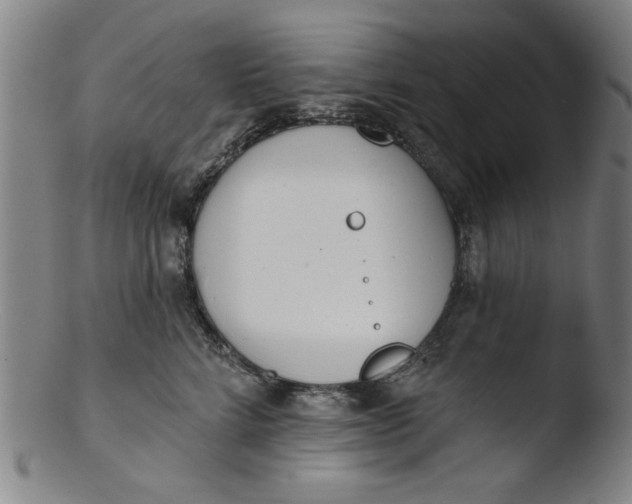 X0000103420712200809261707