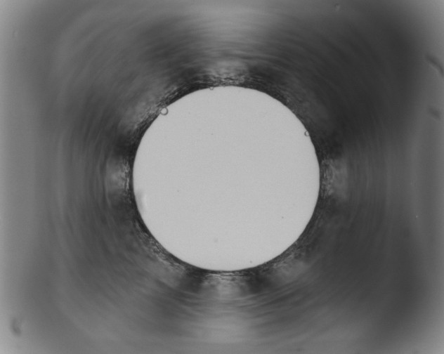 X0000103420713200809261707
