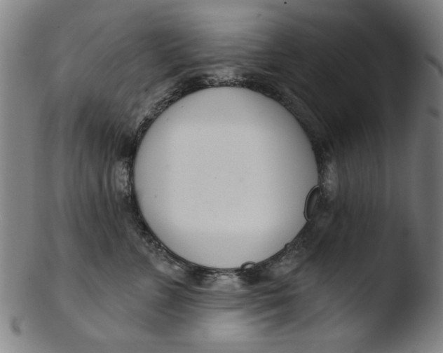 X0000103420715200809261707
