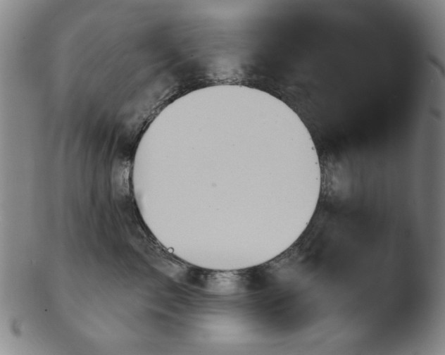 X0000103420717200809261707