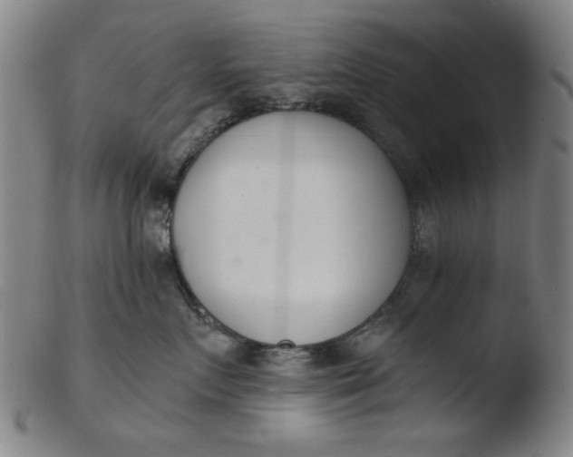 X0000103420719200809261707