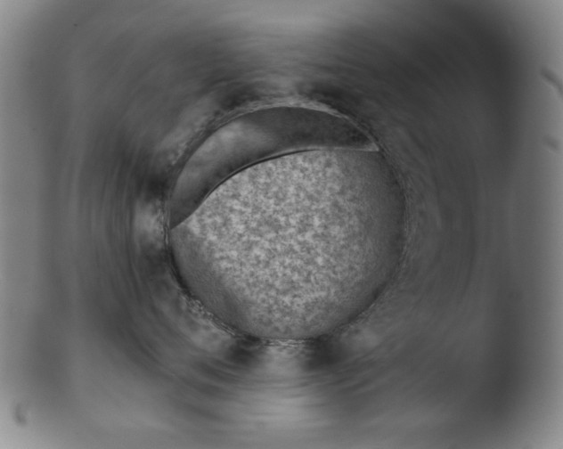 X0000103420720200809261707
