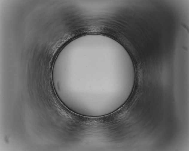 X0000103420721200809261706
