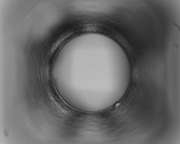 X0000103420722200809261706