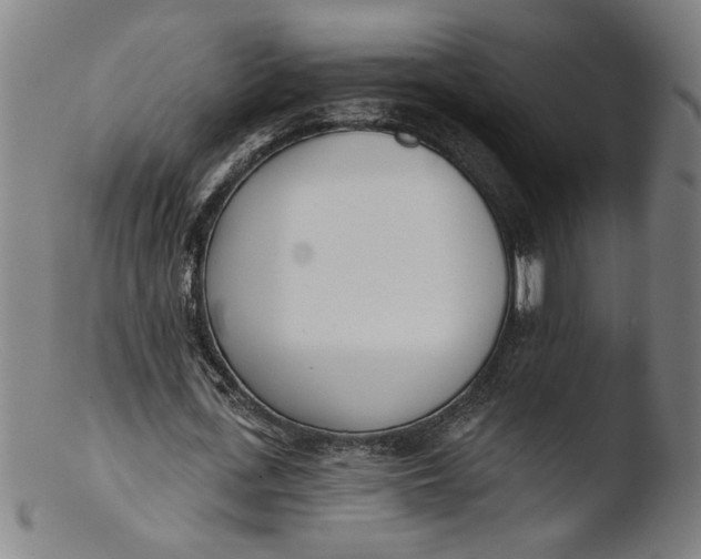 X0000103420723200809261706