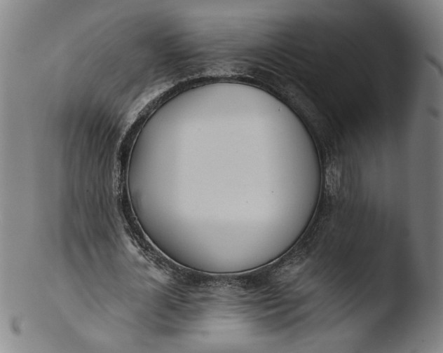X0000103420724200809261706