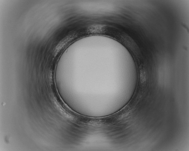 X0000103420725200809261706