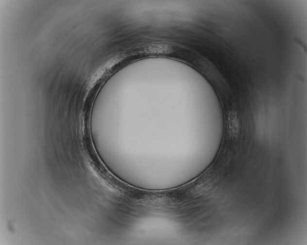 X0000103420726200809261706