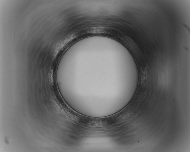 X0000103420727200809261706