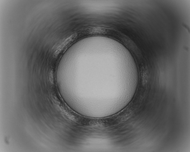 X0000103420729200809261706