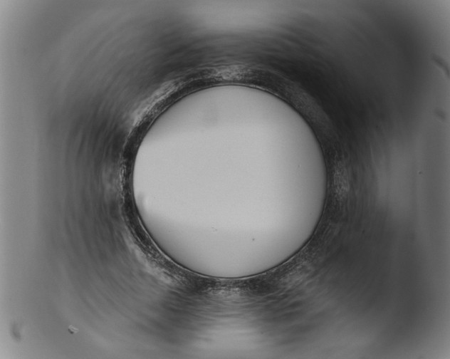 X0000103420730200809261706