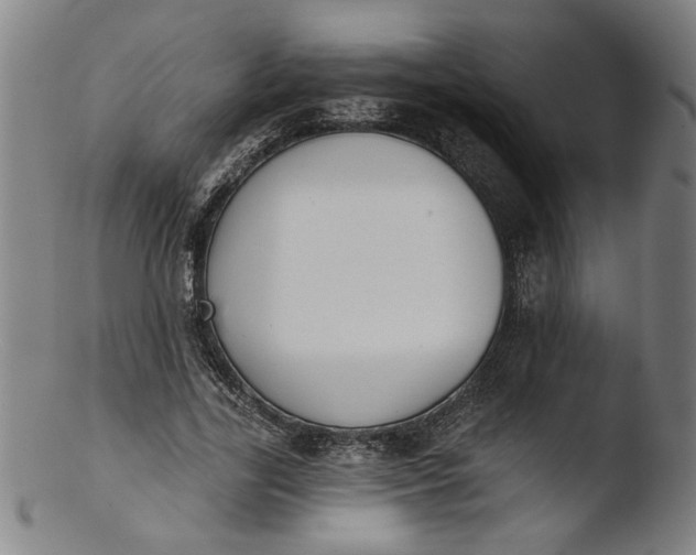 X0000103420731200809261706