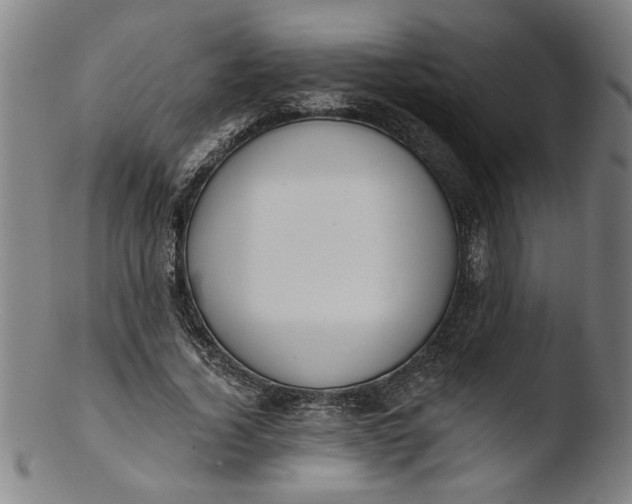 X0000103420732200809261706