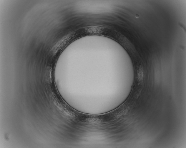 X0000103420733200809261706