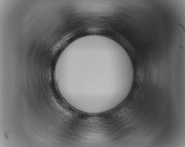 X0000103420734200809261706