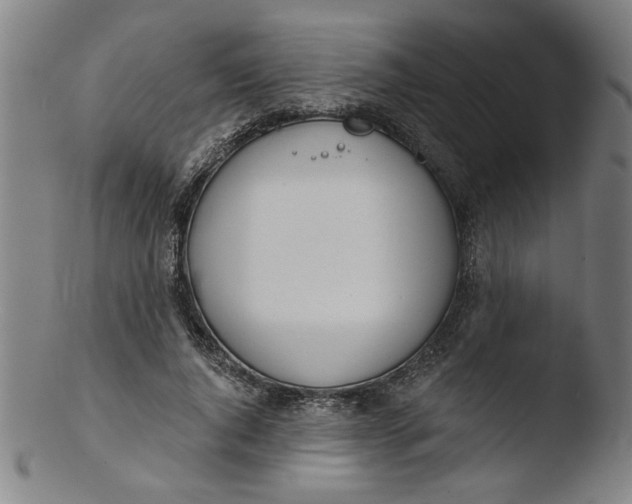 X0000103420736200809261706