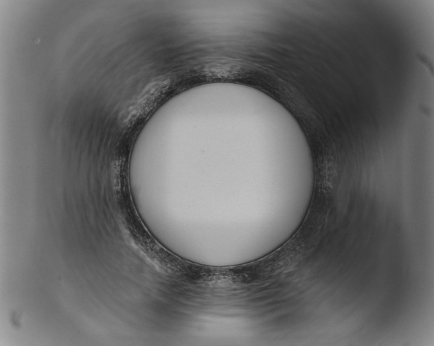 X0000103420738200809261706
