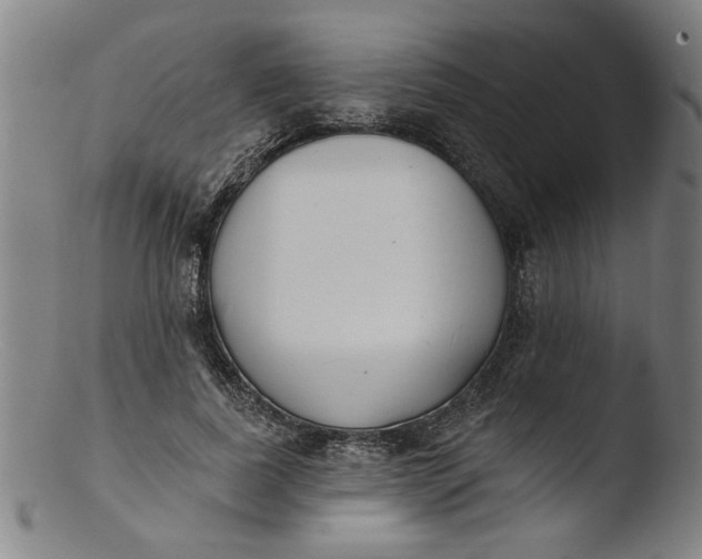 X0000103420739200809261706