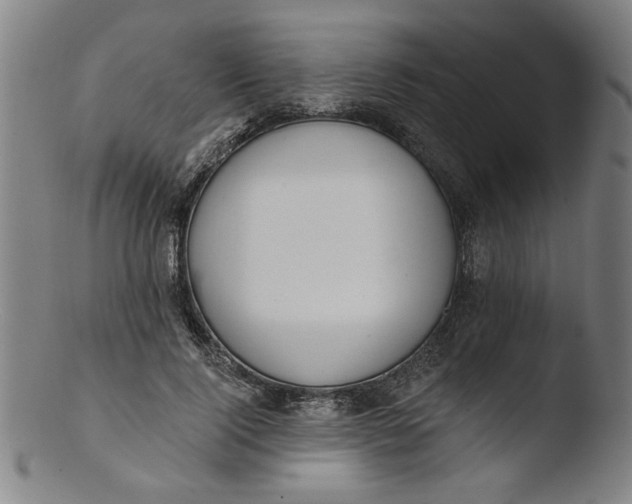 X0000103420740200809261706
