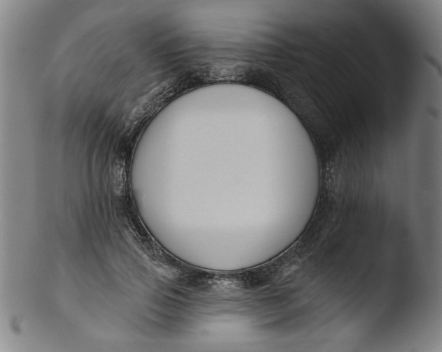 X0000103420741200809261706