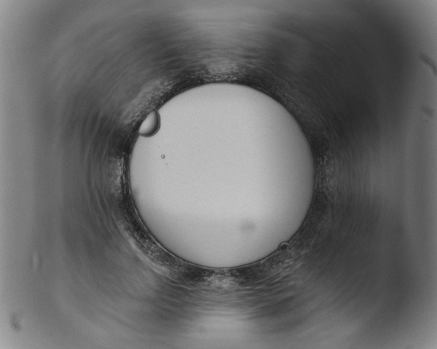 X0000103420742200809261706