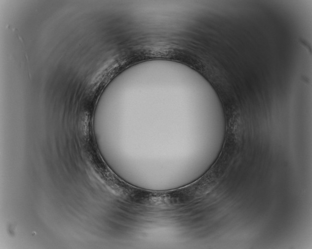 X0000103420744200809261707