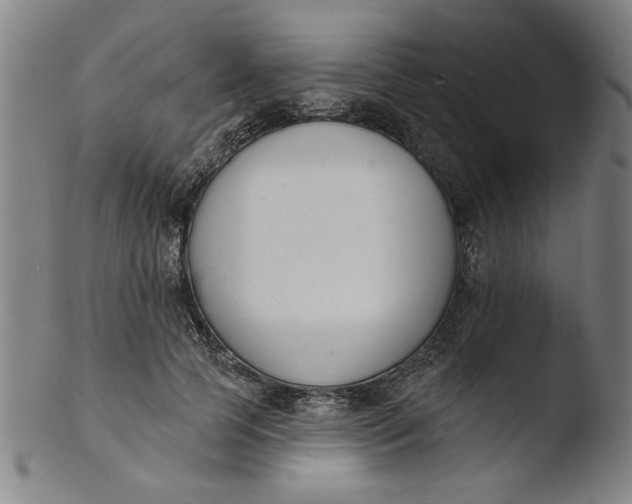 X0000103420745200809261707