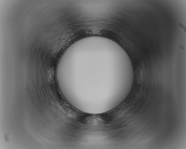 X0000103420747200809261707