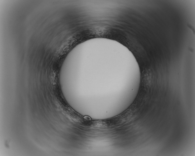 X0000103420750200809261707