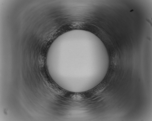 X0000103420751200809261707