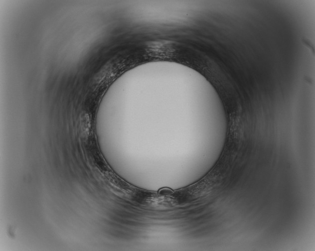 X0000103420752200809261707