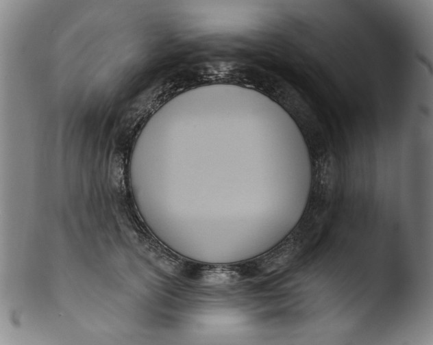 X0000103420754200809261707