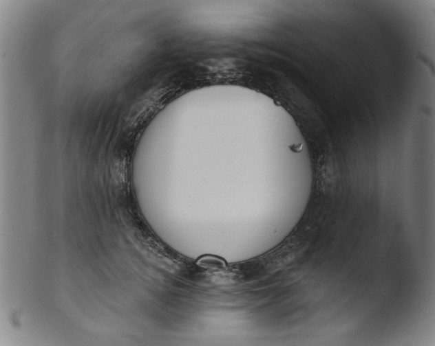 X0000103420756200809261707
