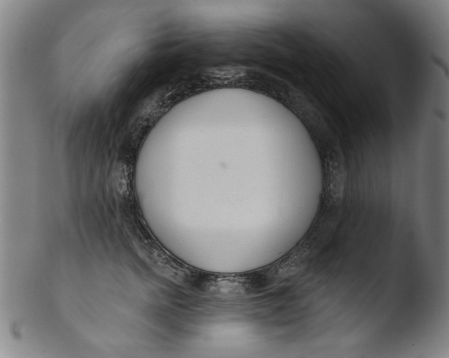 X0000103420758200809261707