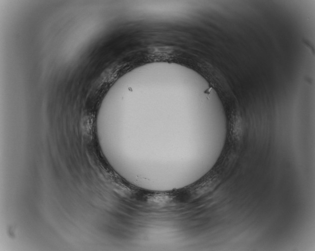 X0000103420759200809261707