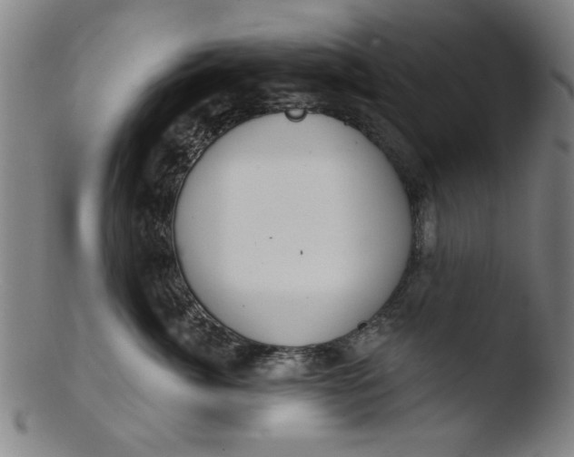 X0000103420764200809261707