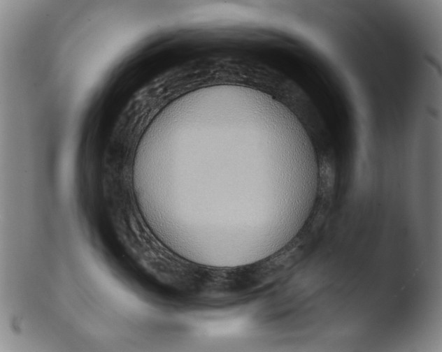 X0000103420765200809261707
