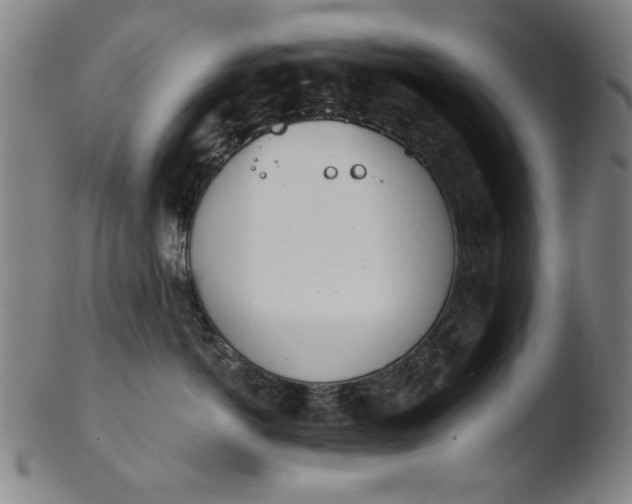 X0000103420766200809261707
