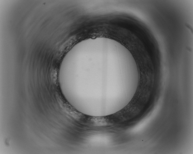 X0000103420767200809261707