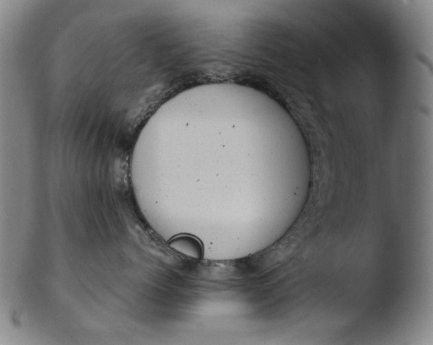 X0000103420768200809261707