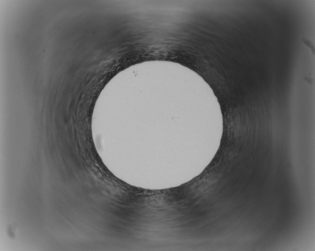 X0000103420769200809261706