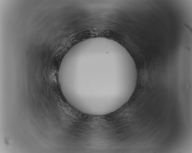 X0000103420770200809261706