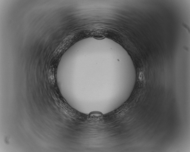 X0000103420771200809261706