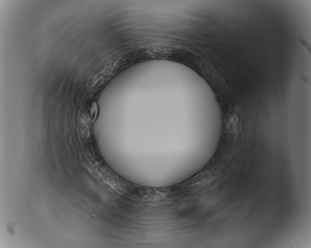 X0000103420772200809261706