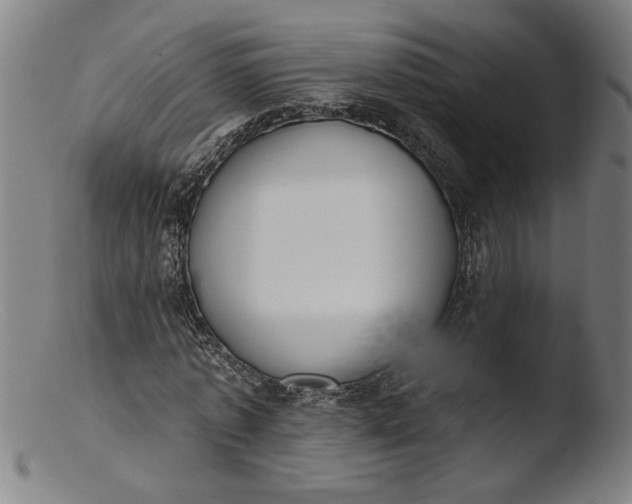 X0000103420773200809261706